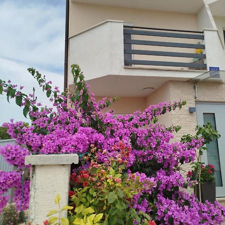 Smokvica Apartment Савудрия Екстериор снимка