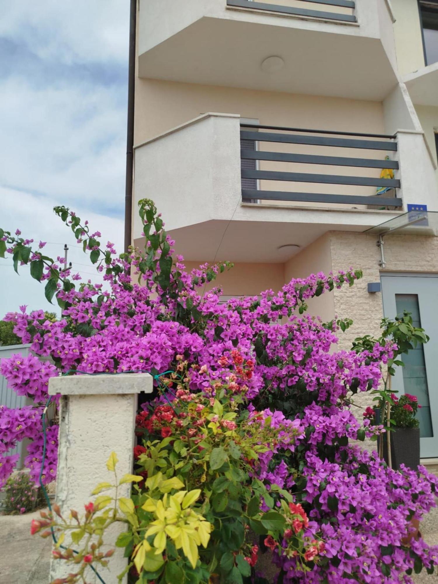 Smokvica Apartment Савудрия Екстериор снимка